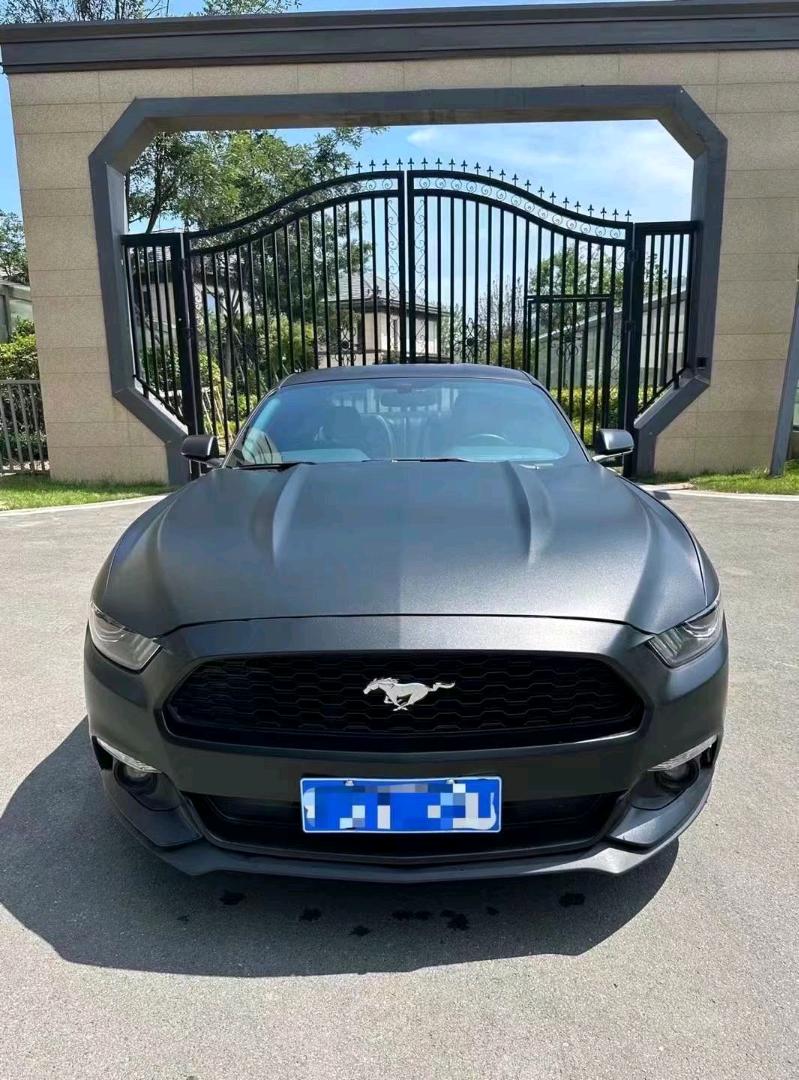 济宁17年福特野马1