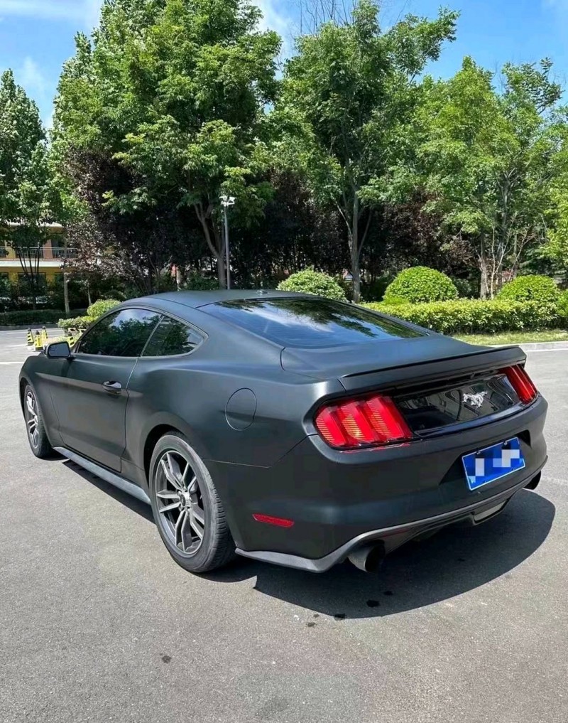 济宁17年福特野马6