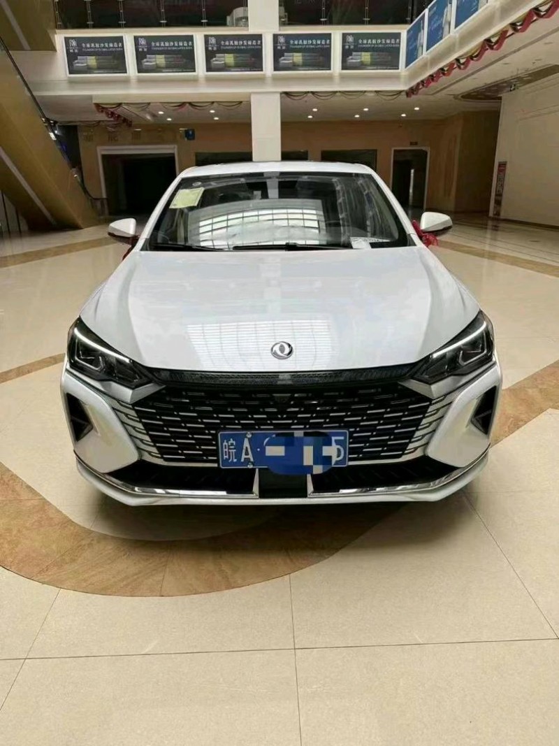 潍坊24年东风奕炫1