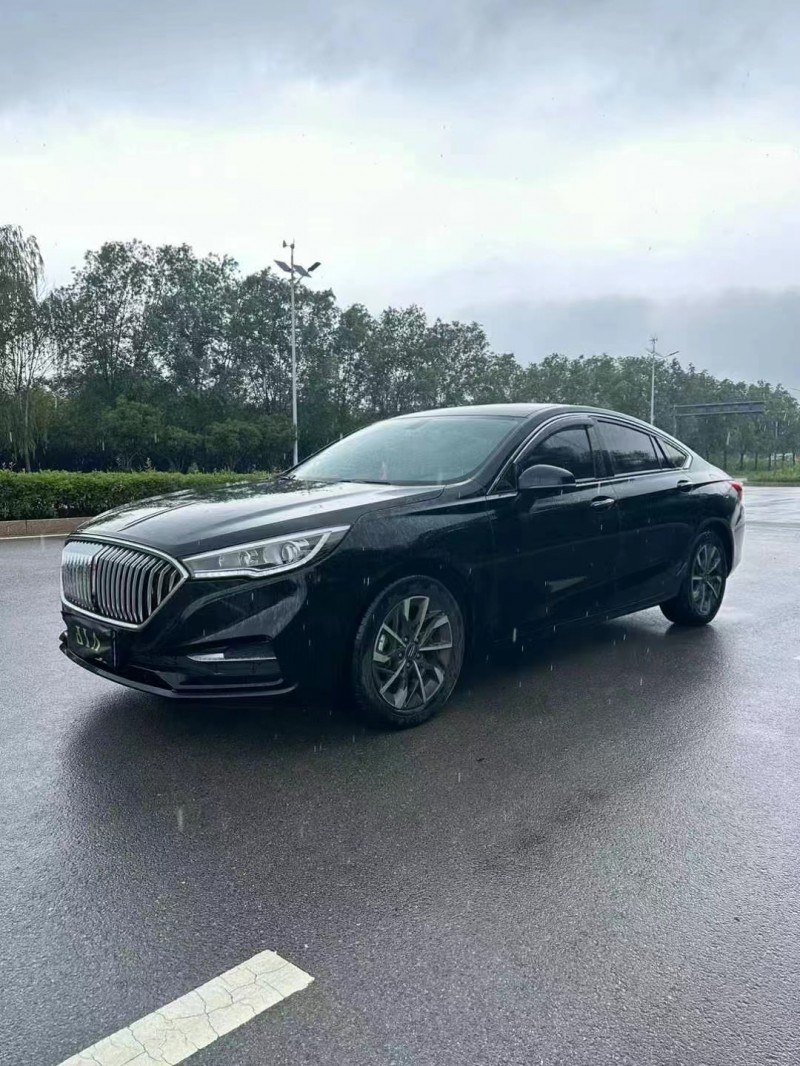 枣庄21年红旗H53