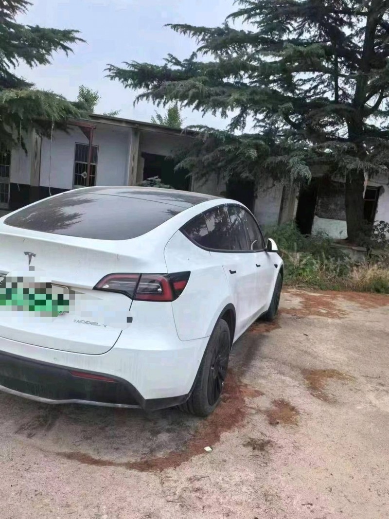 臨沂23年特斯拉MODEL Y7