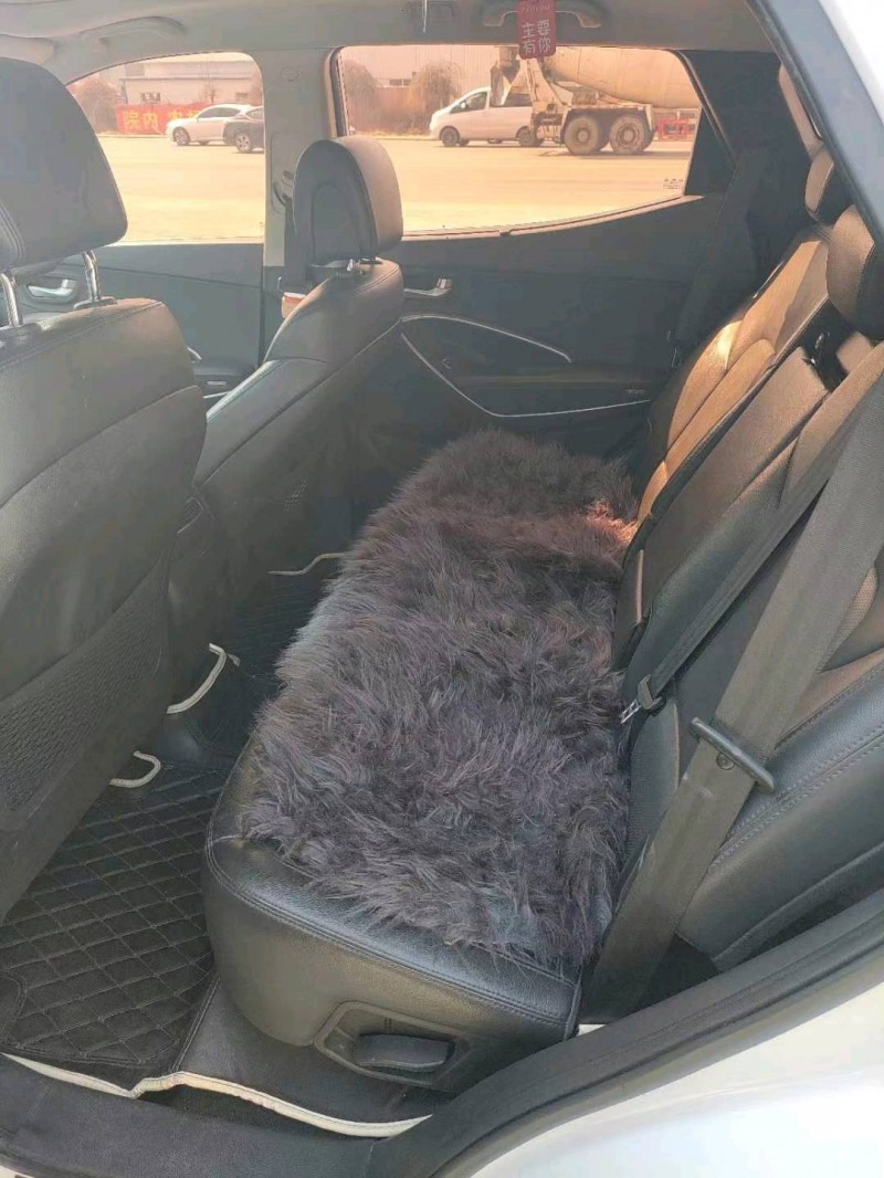 保定16年现代新胜达6