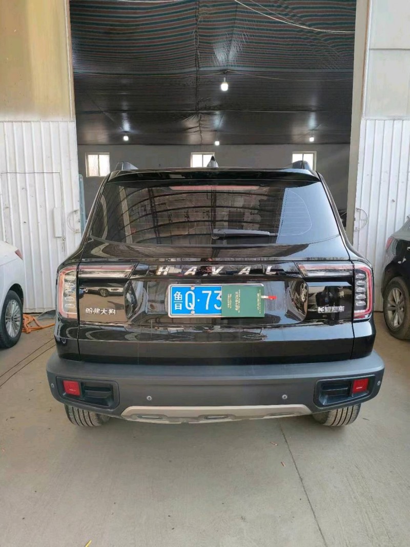 保定21年哈弗大狗9