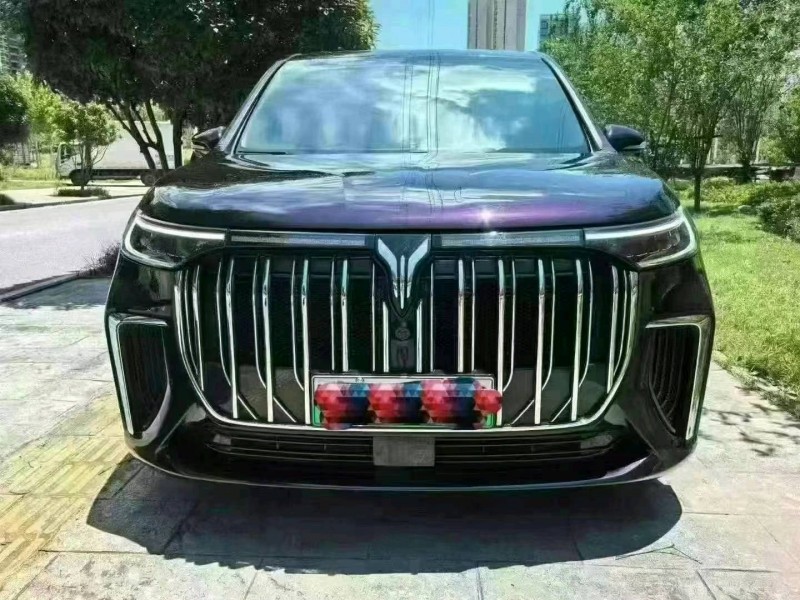 宜昌22年嵐圖汽車夢想家1