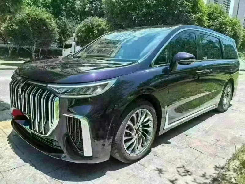 宜昌22年嵐圖汽車夢想家2