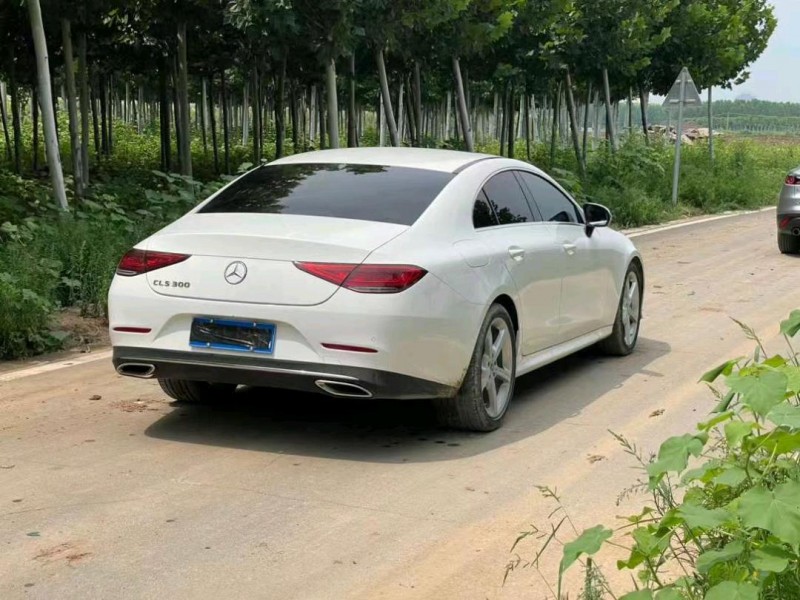 潍坊20年奔驰CLS7