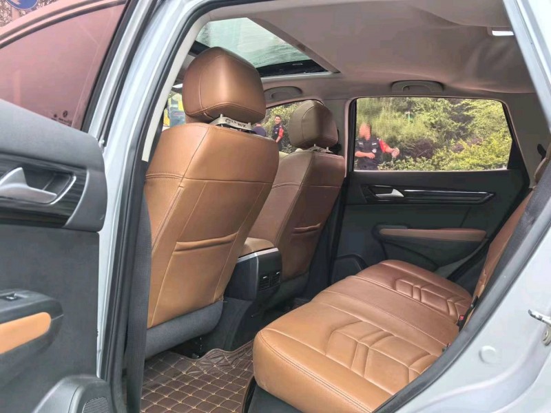 广州17年东风风度8