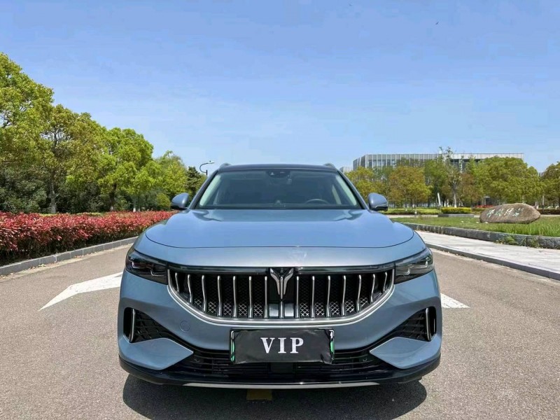 南通22年嵐圖汽車FREE1