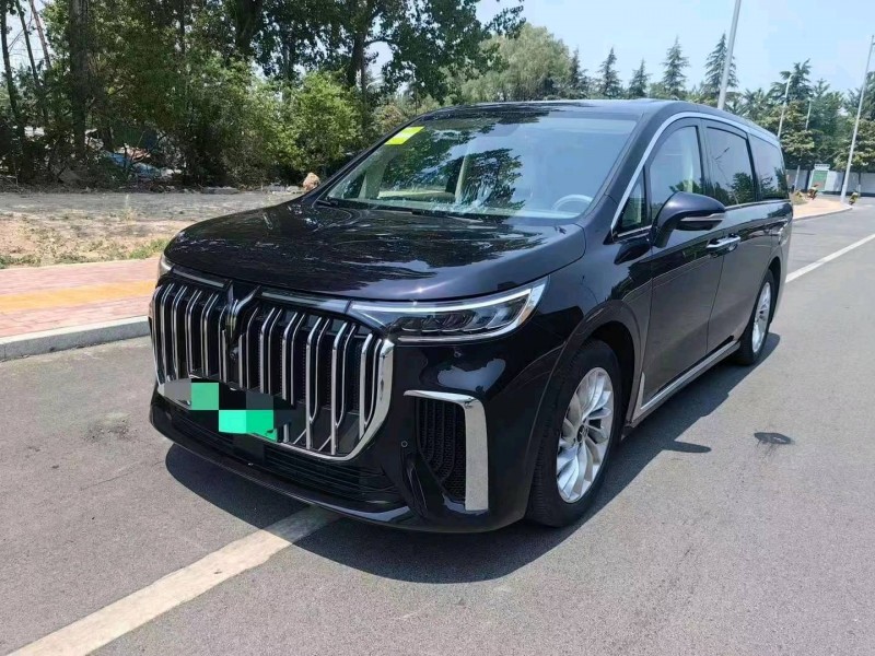 煙臺24年嵐圖汽車夢想家3