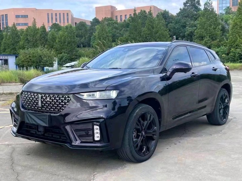 湘西20年長城汽車WEY VV73