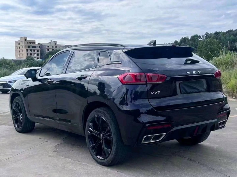 湘西20年長城汽車WEY VV74