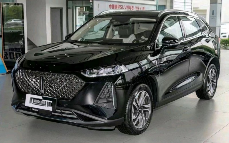 貴陽22年長城汽車WEY 瑪奇朵1
