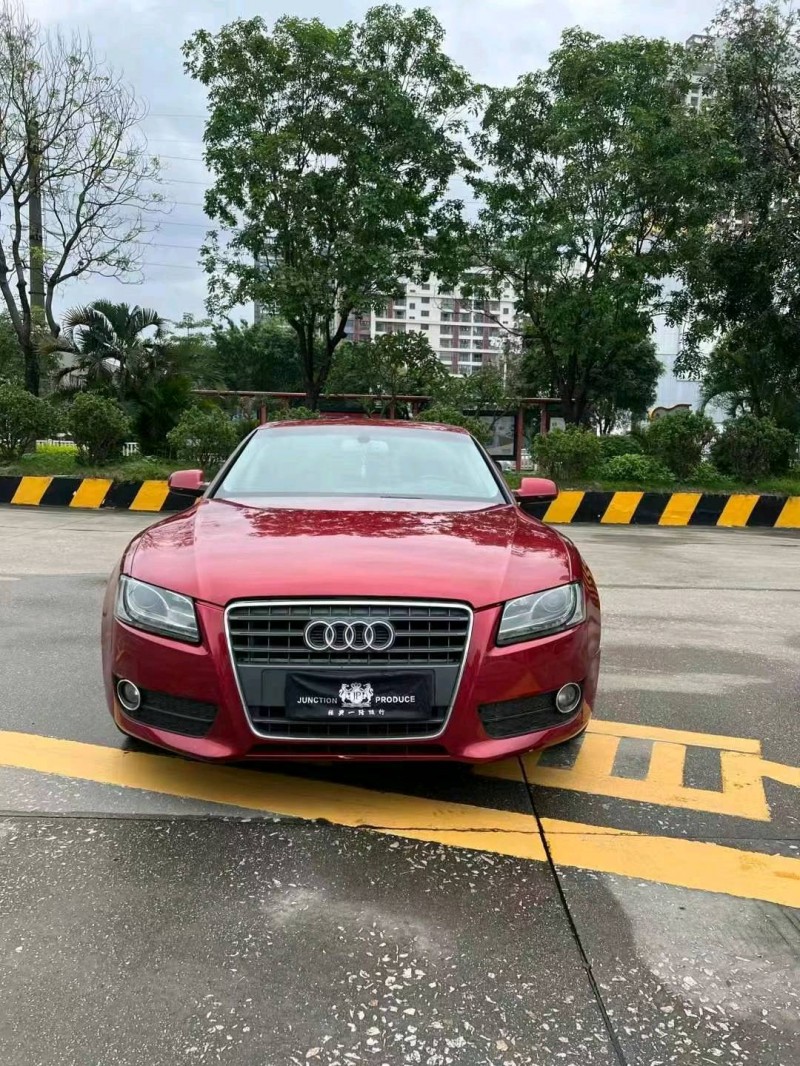 广州12年奥迪A51