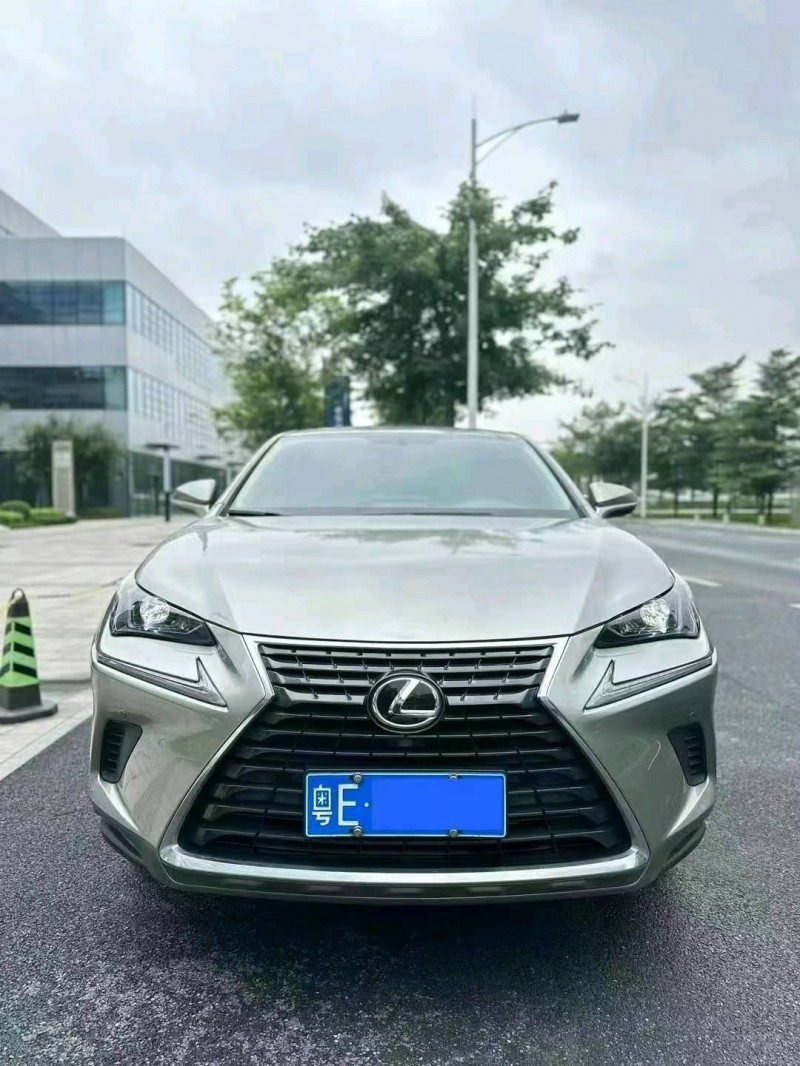 广州19年雷克萨斯NX1