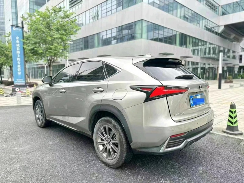 广州19年雷克萨斯NX9