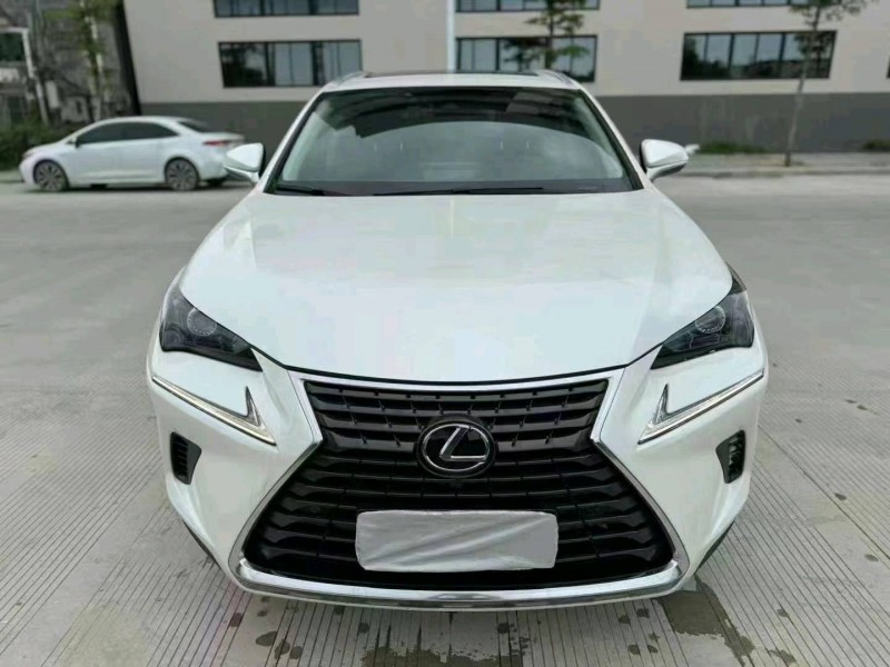 佛山19年雷克萨斯NX1