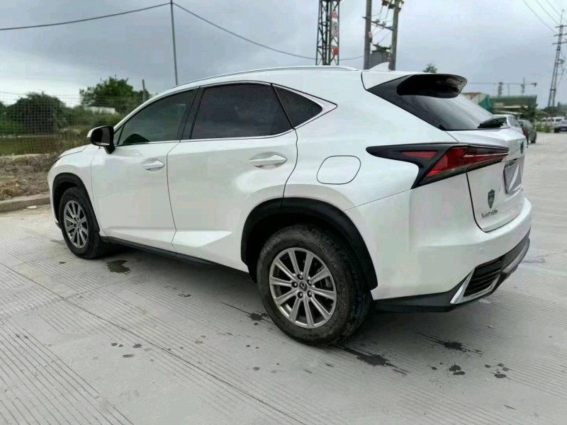 佛山19年雷克萨斯NX8