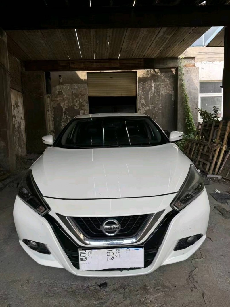 鶴壁17年日產藍鳥1