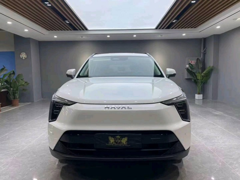 成都24年哈弗枭龙1