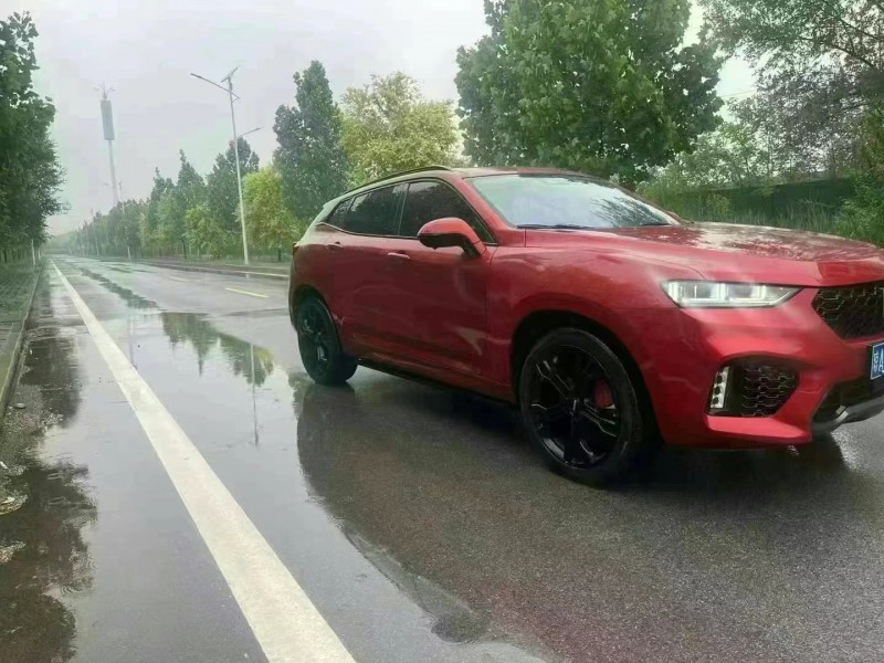 廊坊19年长城汽车WEY VV73