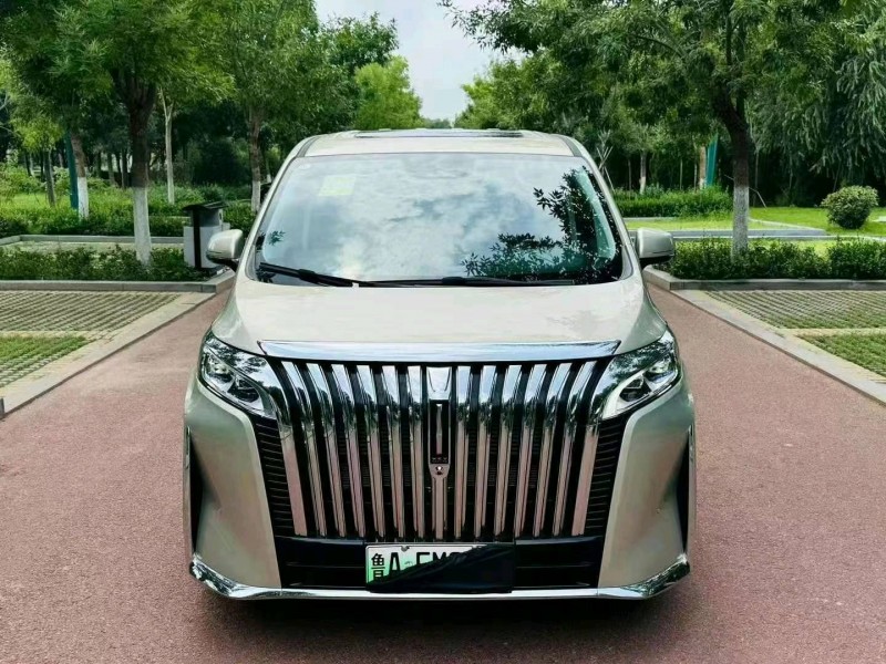 潍坊24年长城汽车魏牌高山1