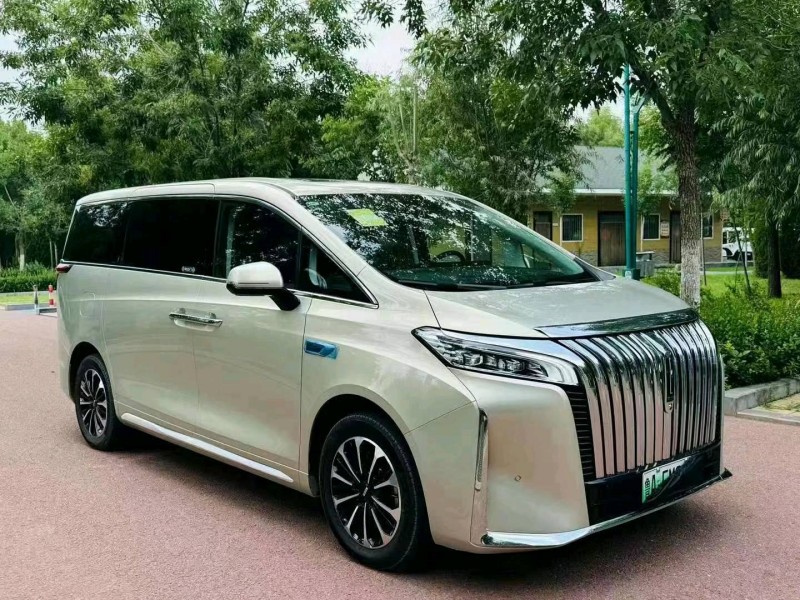 潍坊24年长城汽车魏牌高山3