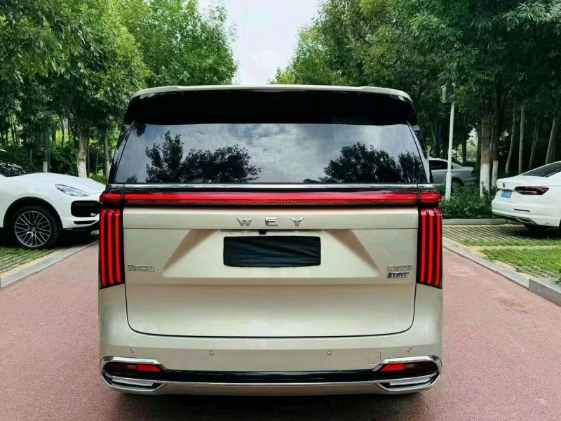 潍坊24年长城汽车魏牌高山5