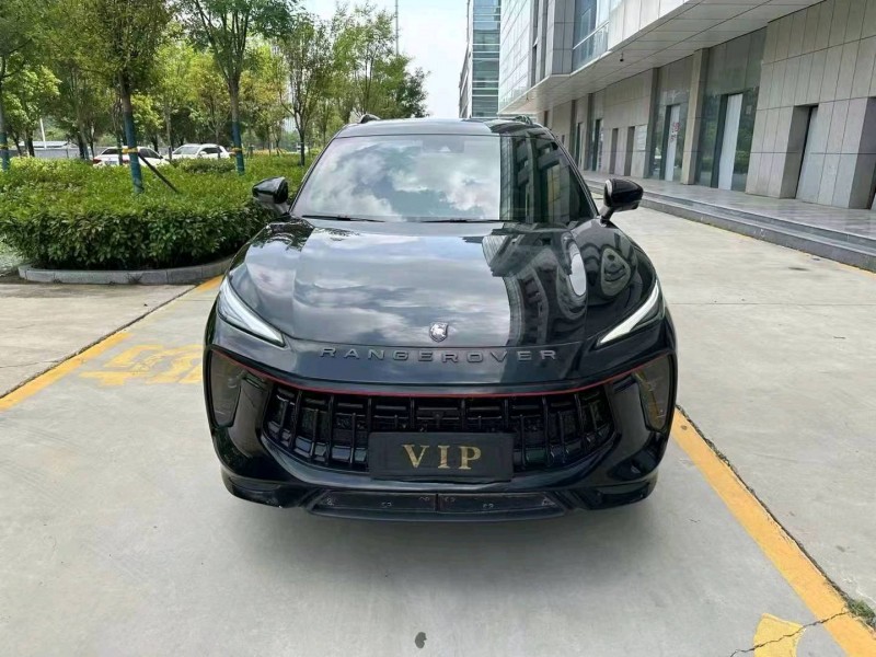 潍坊22年东风T51