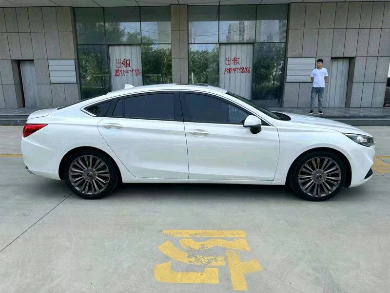 济宁20年红旗H55