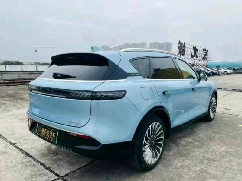 廣州22年嵐圖汽車FREE8