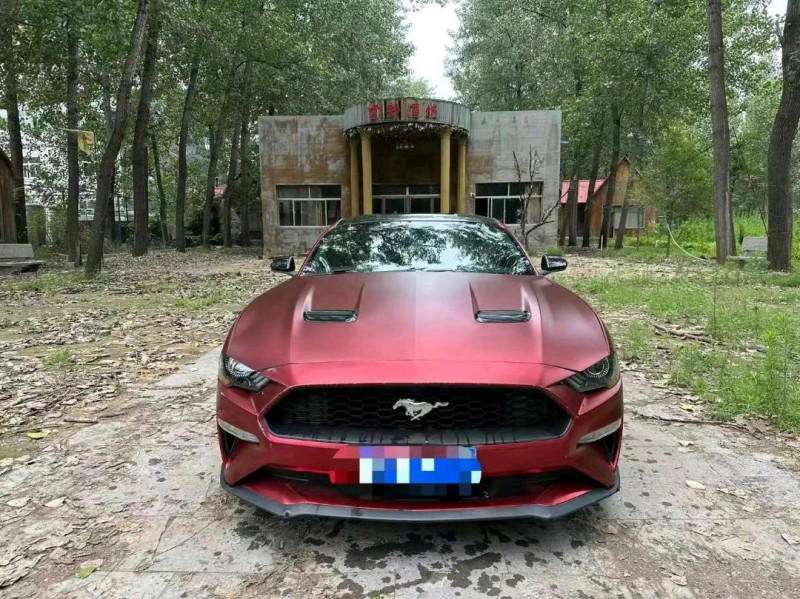 淄博18年福特野马1