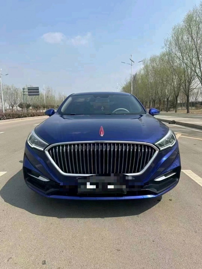 枣庄20年红旗H51