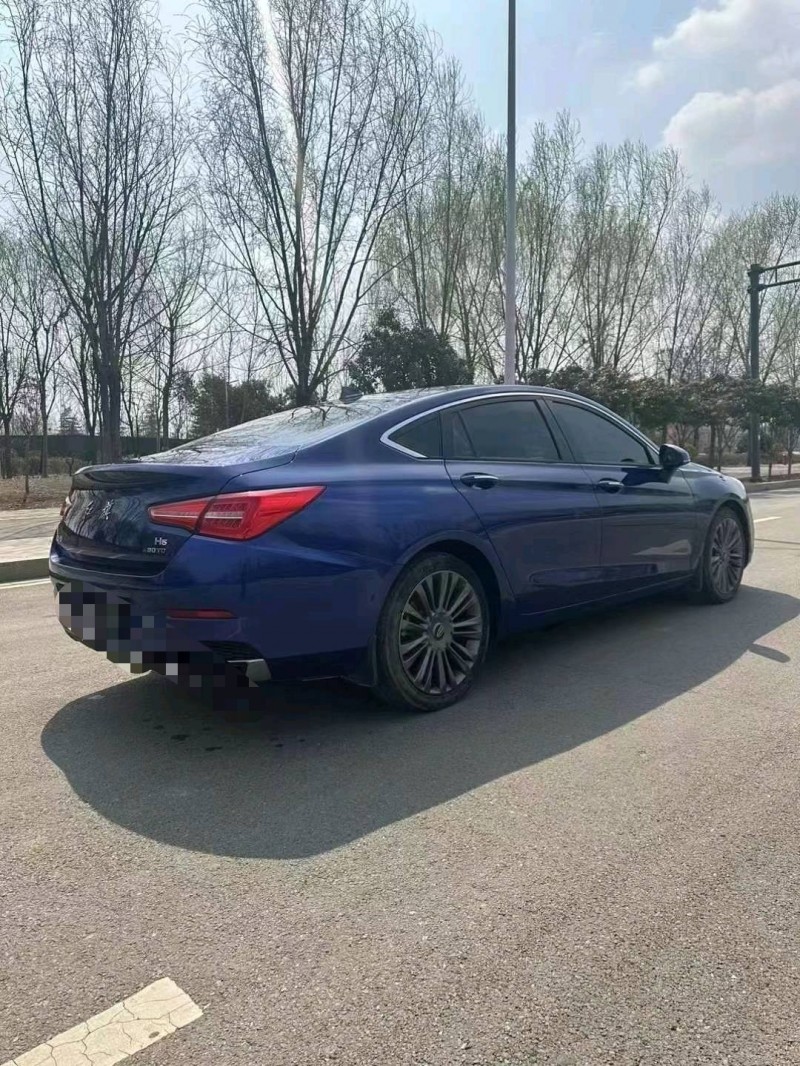 枣庄20年红旗H59