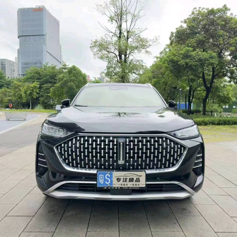 广州22年长城汽车WEY 摩卡1