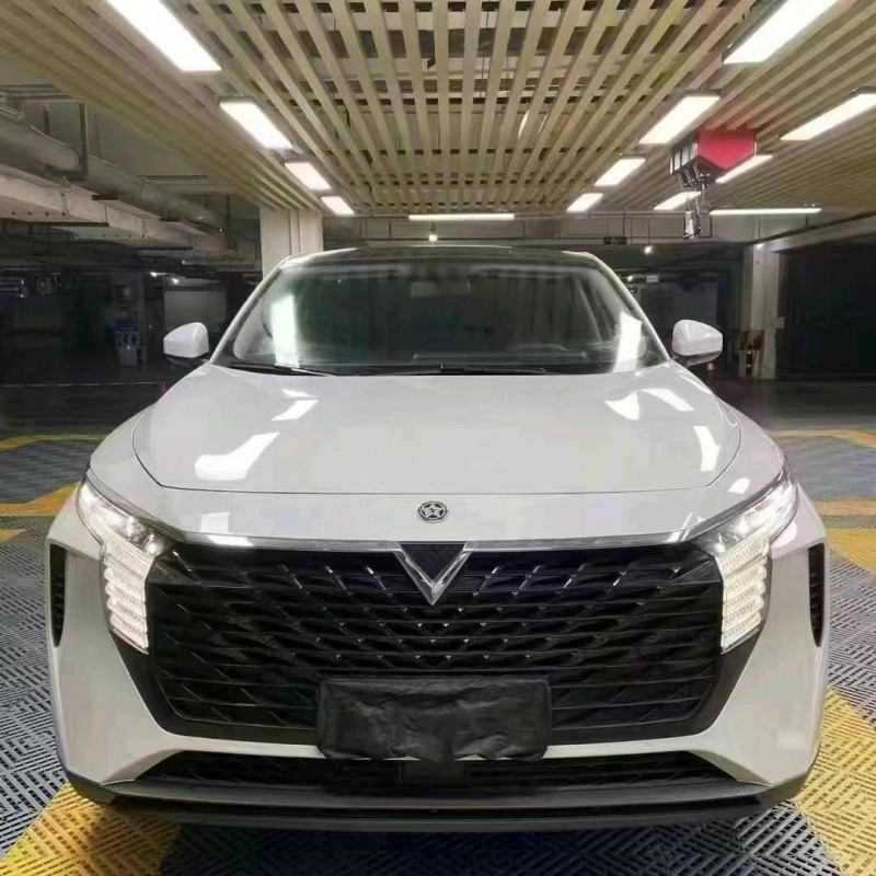 成都22年啟辰大V1