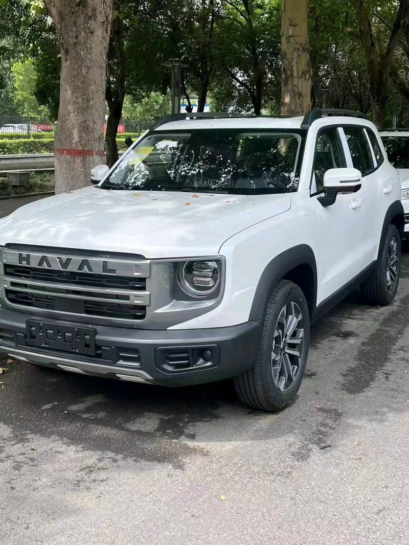 郑州24年哈弗大狗1