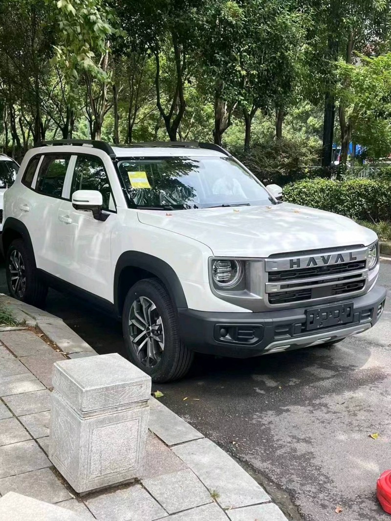 郑州24年哈弗大狗2