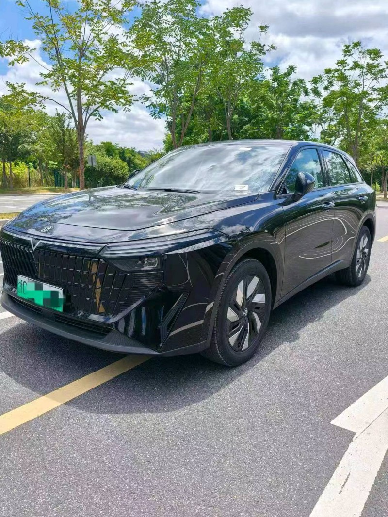 金華24年啟辰大V6