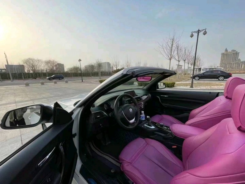 保定18年宝马2系8