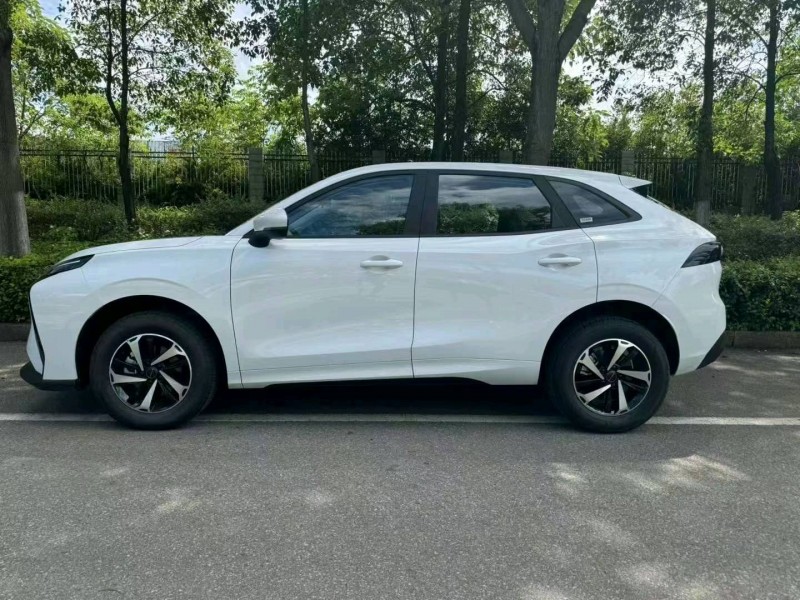 潍坊24年东风雷霆6