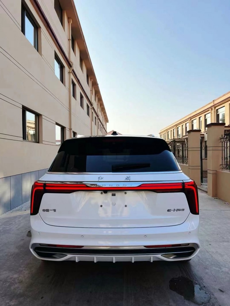 潍坊21年红旗E-HS99