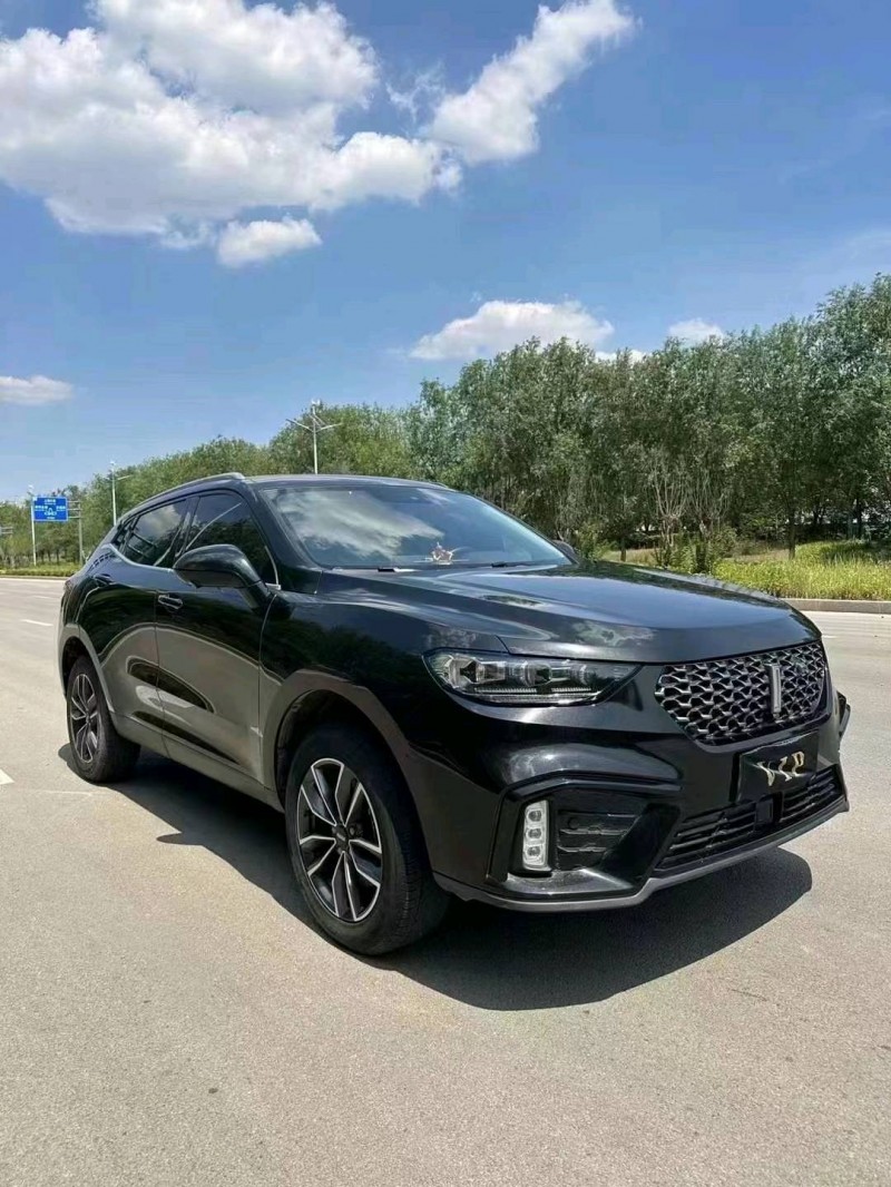 枣庄19年长城汽车WEY VV52