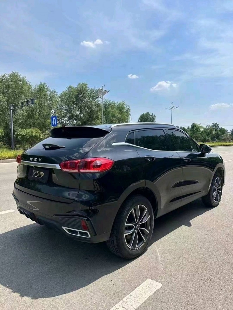 枣庄19年长城汽车WEY VV58
