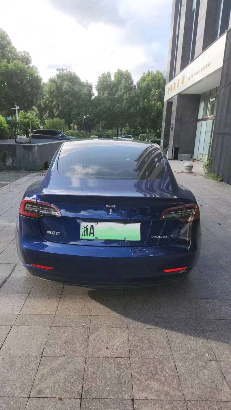 嘉興20年特斯拉MODEL 36