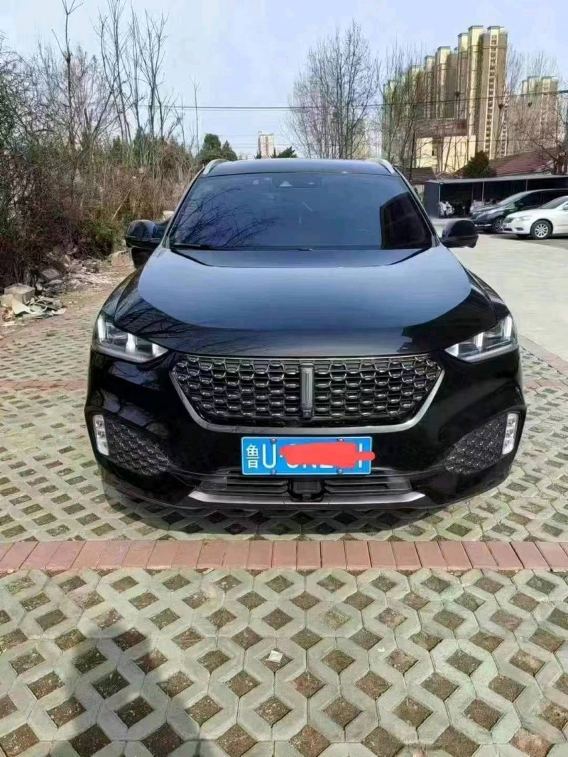 青岛20年长城汽车WEY VV61