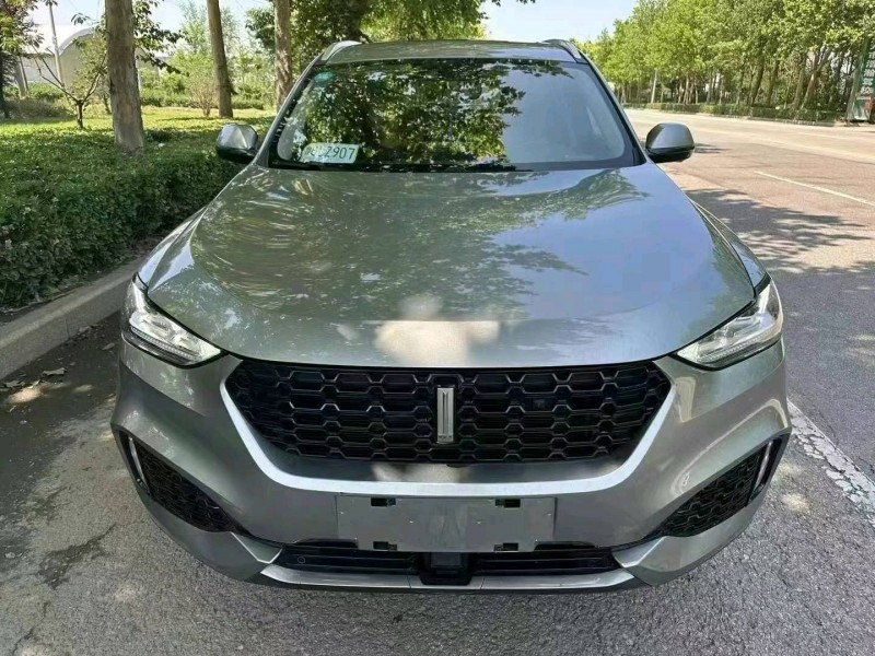 苏州19年长城汽车WEY VV61