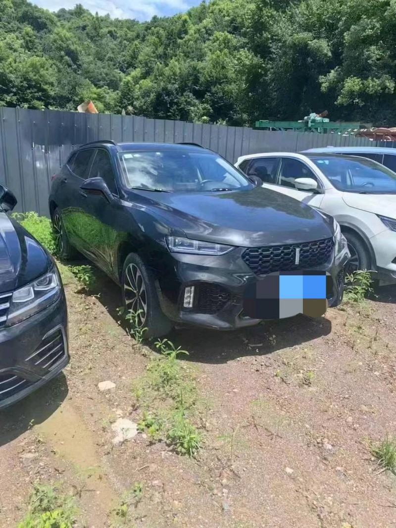 嘉興18年長城汽車WEY VV73