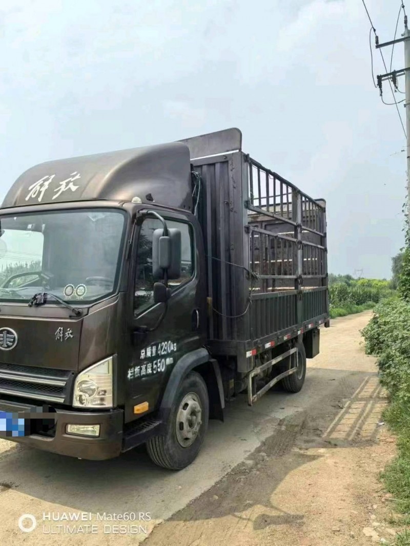 保定21年解放解放卡车2