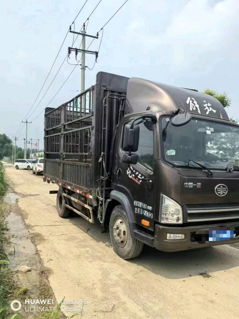 保定21年解放解放卡车3