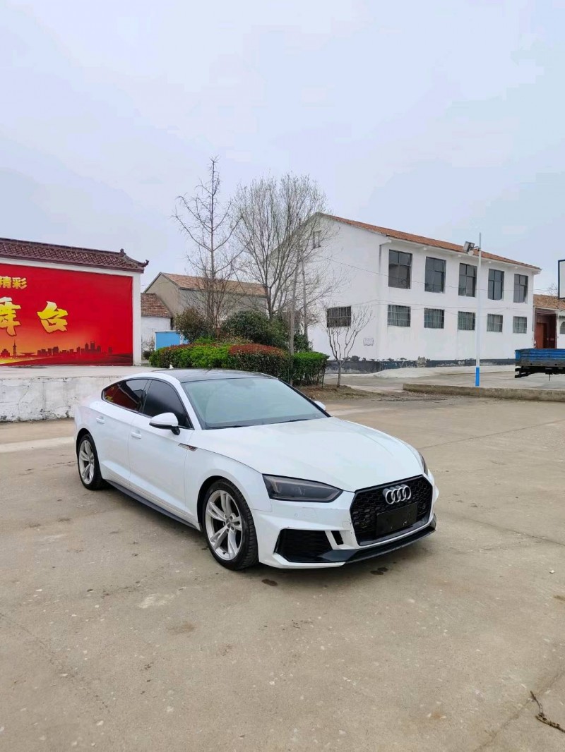 徐州20年奥迪A53